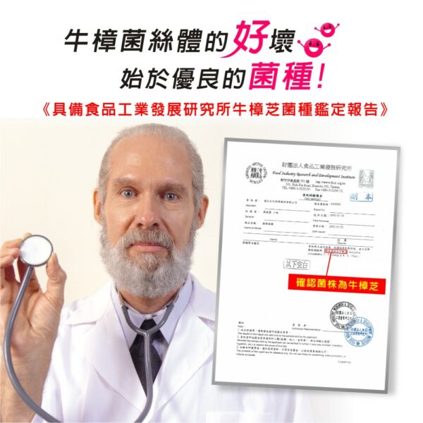 台灣之寶牛樟芝菌絲體：圖片 7