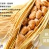 納豆紅麴紅景天複合膠囊：圖片 4