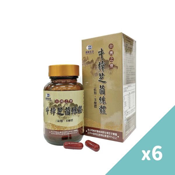 台灣之寶牛樟芝菌絲體X6瓶
