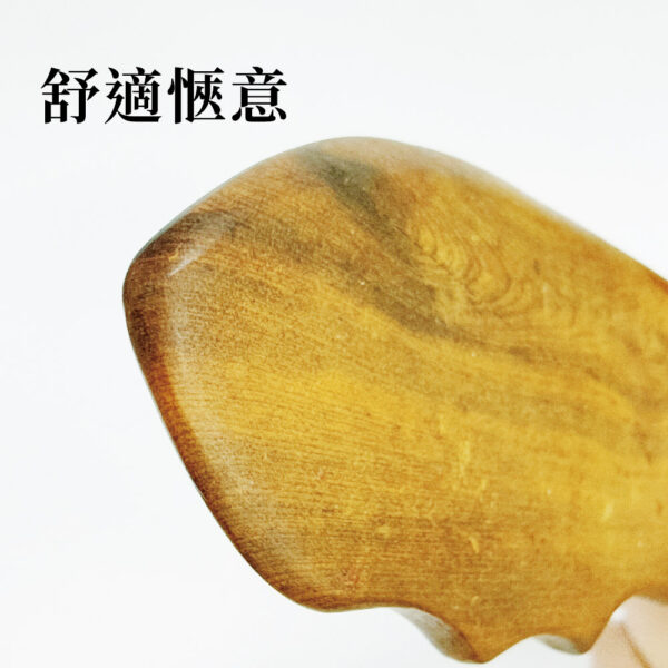 【德奧生技】魚形按摩器(刮痧片)：圖片 4