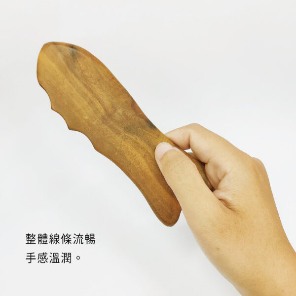 【德奧生技】魚形按摩器(刮痧片)：圖片 3
